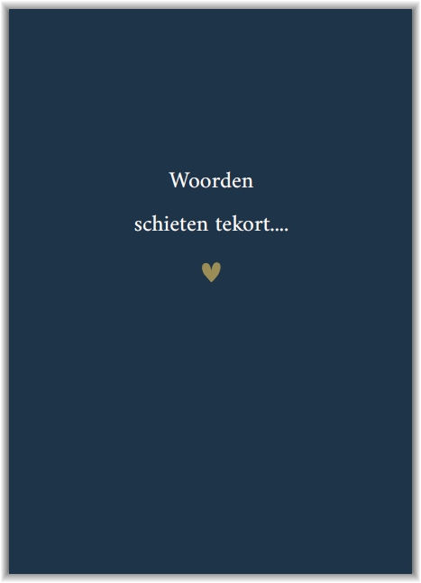 Woorden schieten tekort