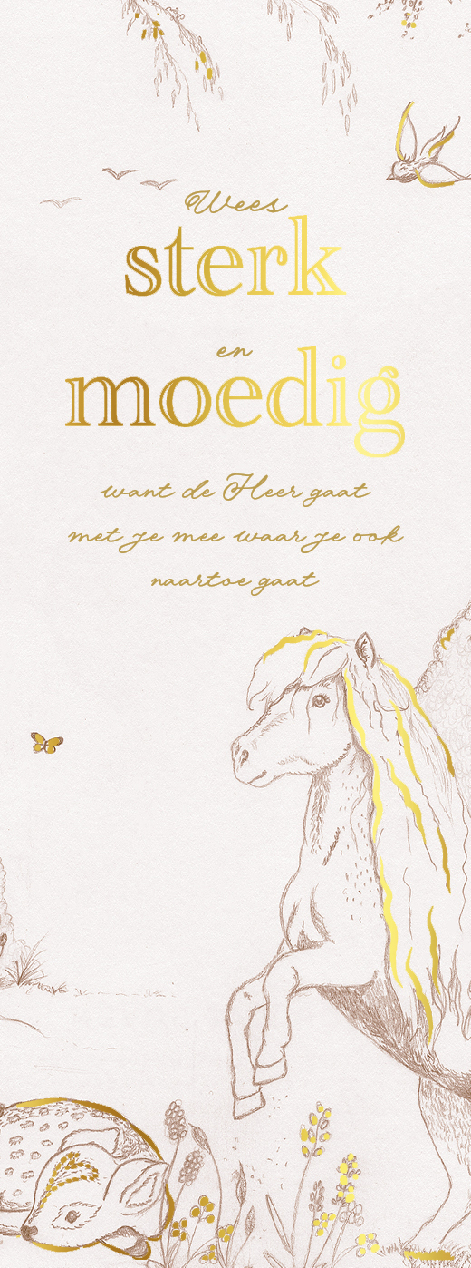 Boekenlegger Wees sterk en moedig