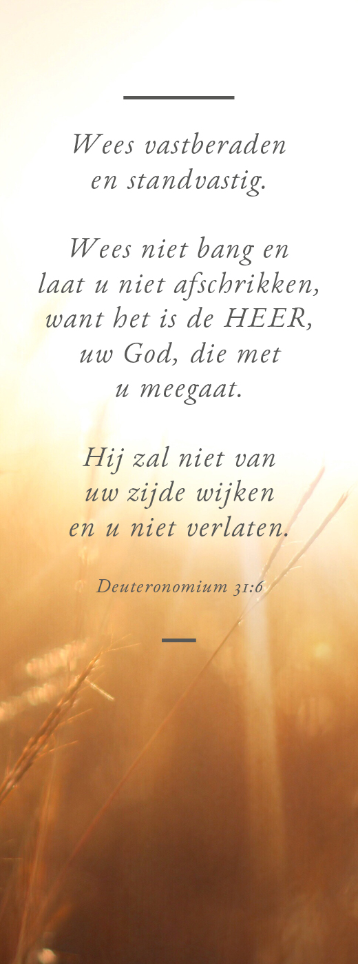 Boekenlegger Wees vastberaden