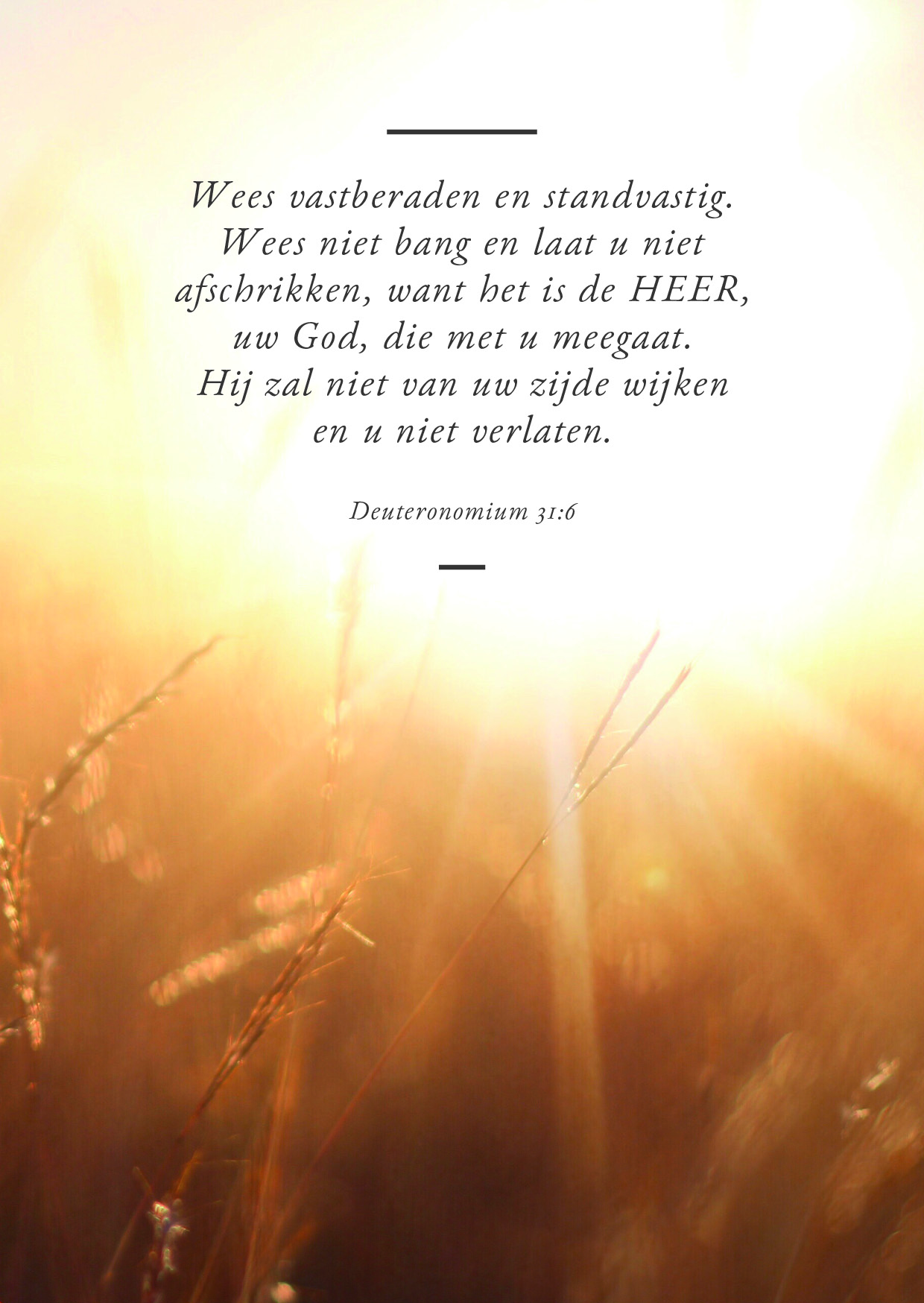 Wees vastberaden en standvastig