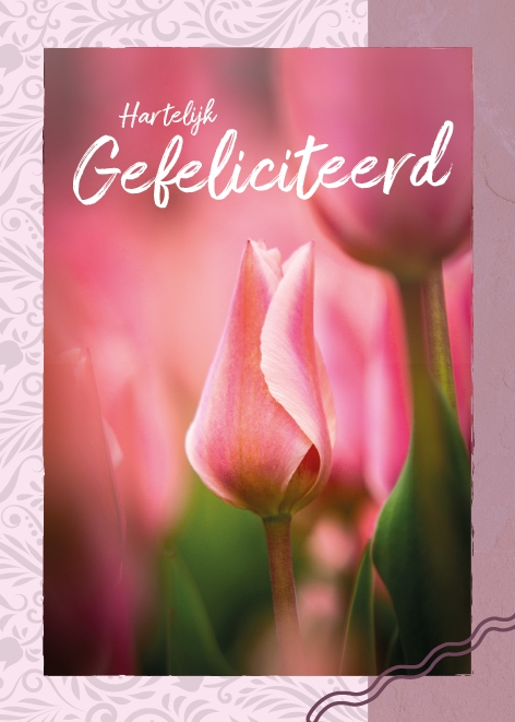 Gefeliciteerd