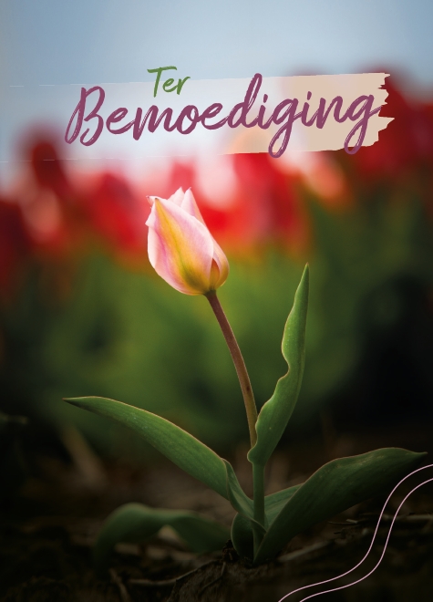 Bemoediging