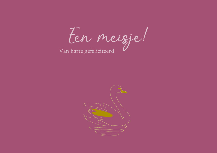 Een meisje! Gefeliciteerd