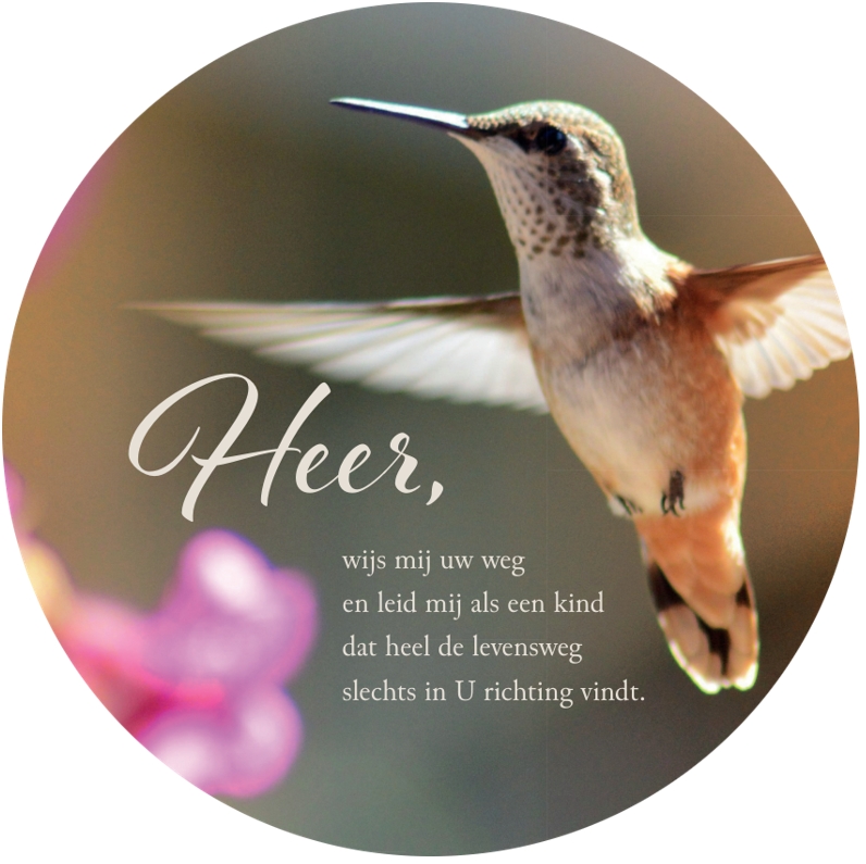 Muurcirkel Heer wijs mij uw weg