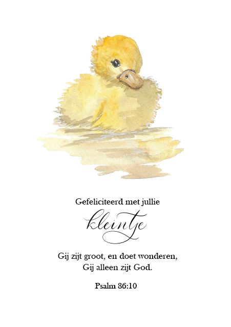 Gefeliciteerd met jullie kleintje