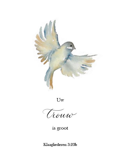 Uw Trouw is groot