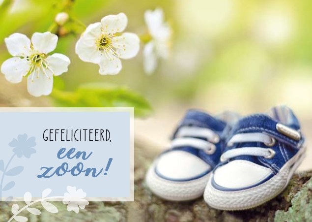 Geboorte Zoon