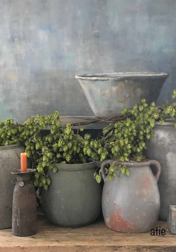 Blanco - Potten met hop