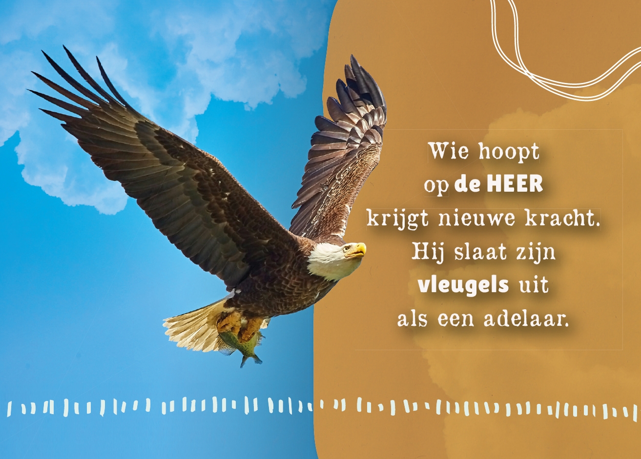 Wie hoopt op de Heer