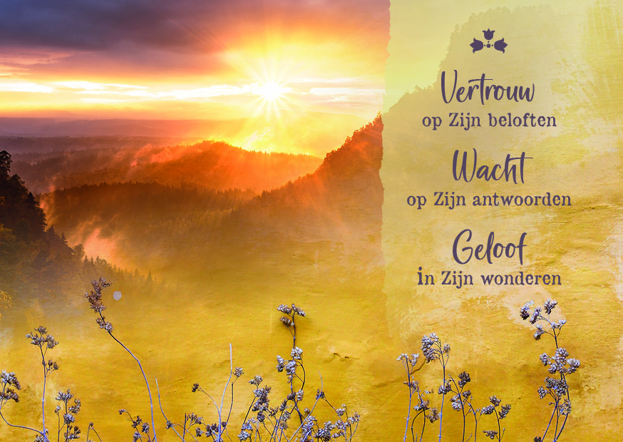 Vertrouw op Zijn beloften