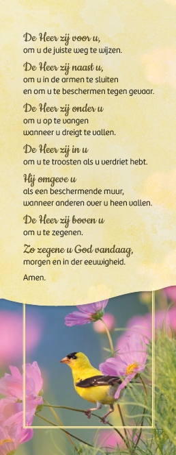 Zegen van St. Patrick