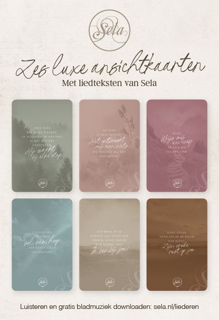 Mapje 6 luxe enkele kaarten