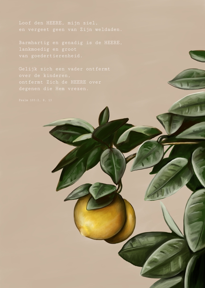 Loof den HEERE, mijn ziel