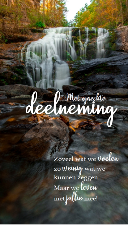 Deelneming