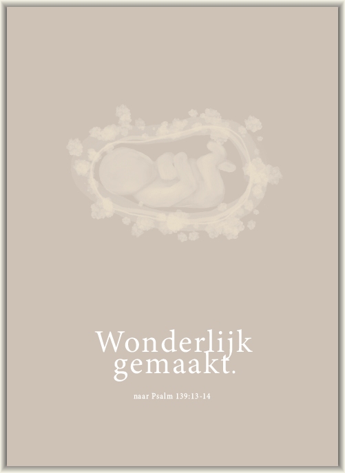 Wonderlijk gemaakt