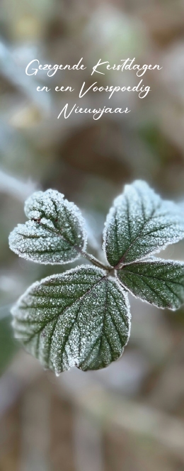 Boekenlegger Gez. K/N