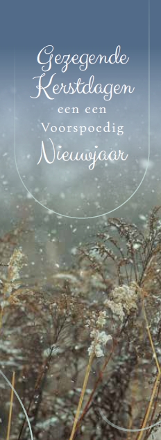 Boekenlegger Gez. K/N