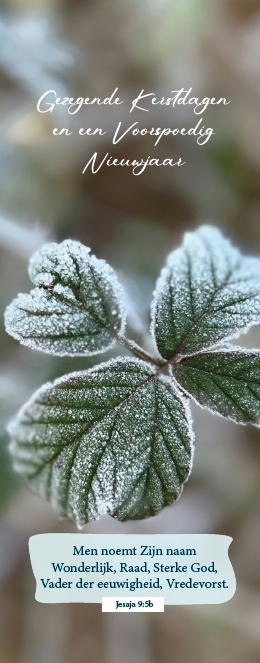 Boekenlegger Gezegende K/N m/t